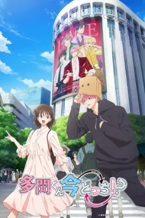 Tamon-kun Ima Docchi!