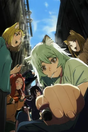 Yani Neko